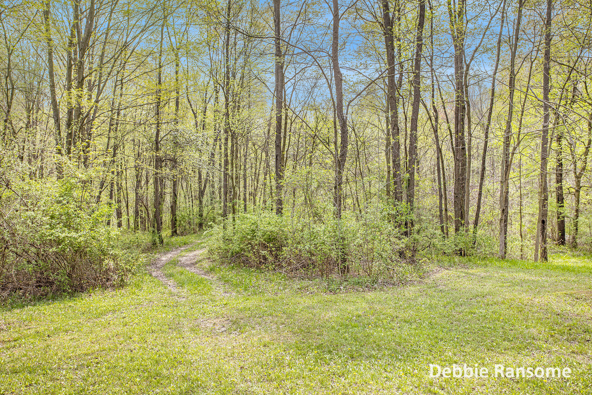 2424 Maple Grove Road Hastings, MI 49058 - Photo 7 of 42 DNG Files-8