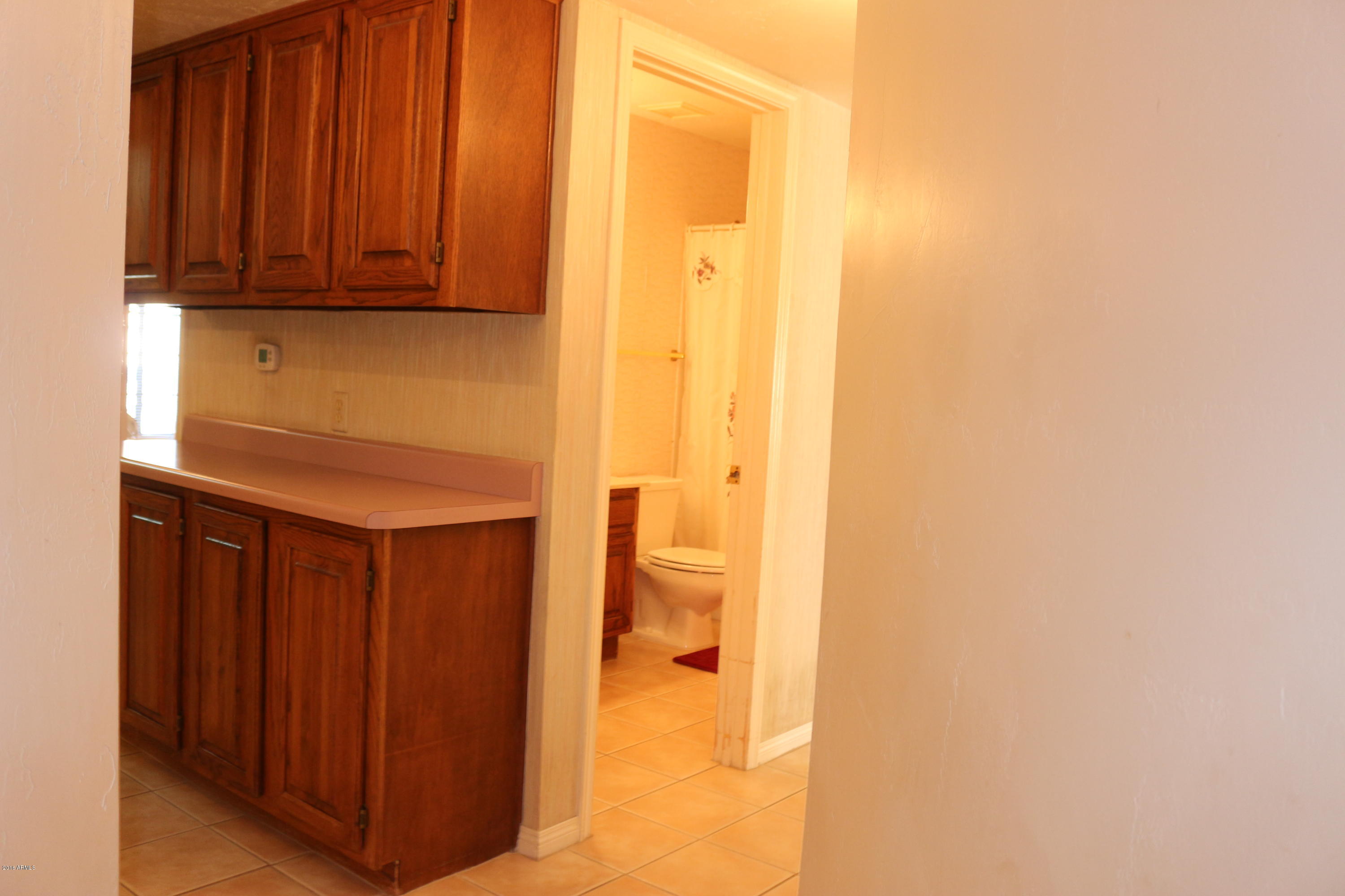 3725 East Decatur Street Mesa, AZ 85205 - Photo 30 of 43 IMG_2874