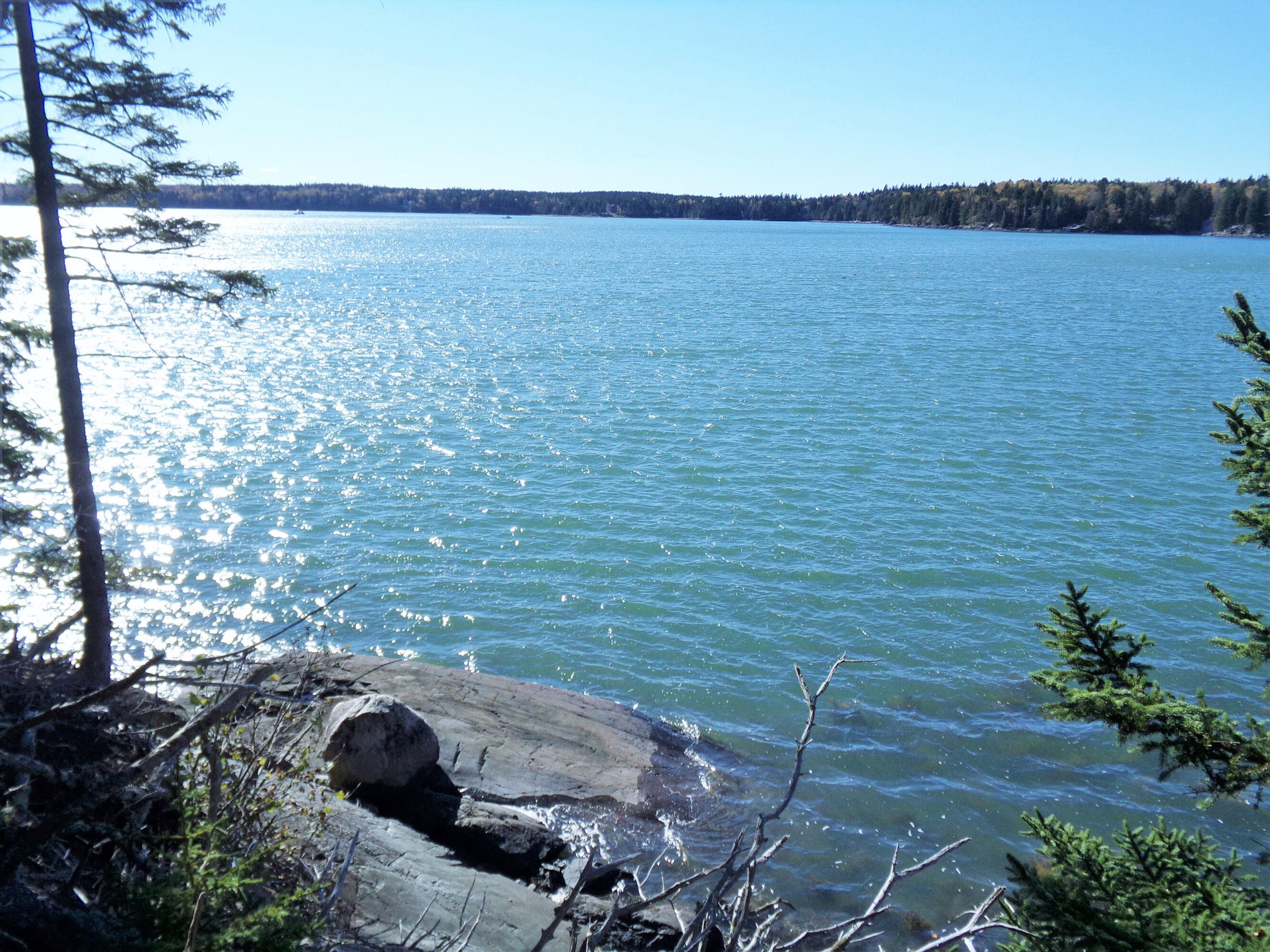 2 Johnson Point Road Orrs Island, ME 04066 - Photo 10 of 20 11jp.135_2224 .f