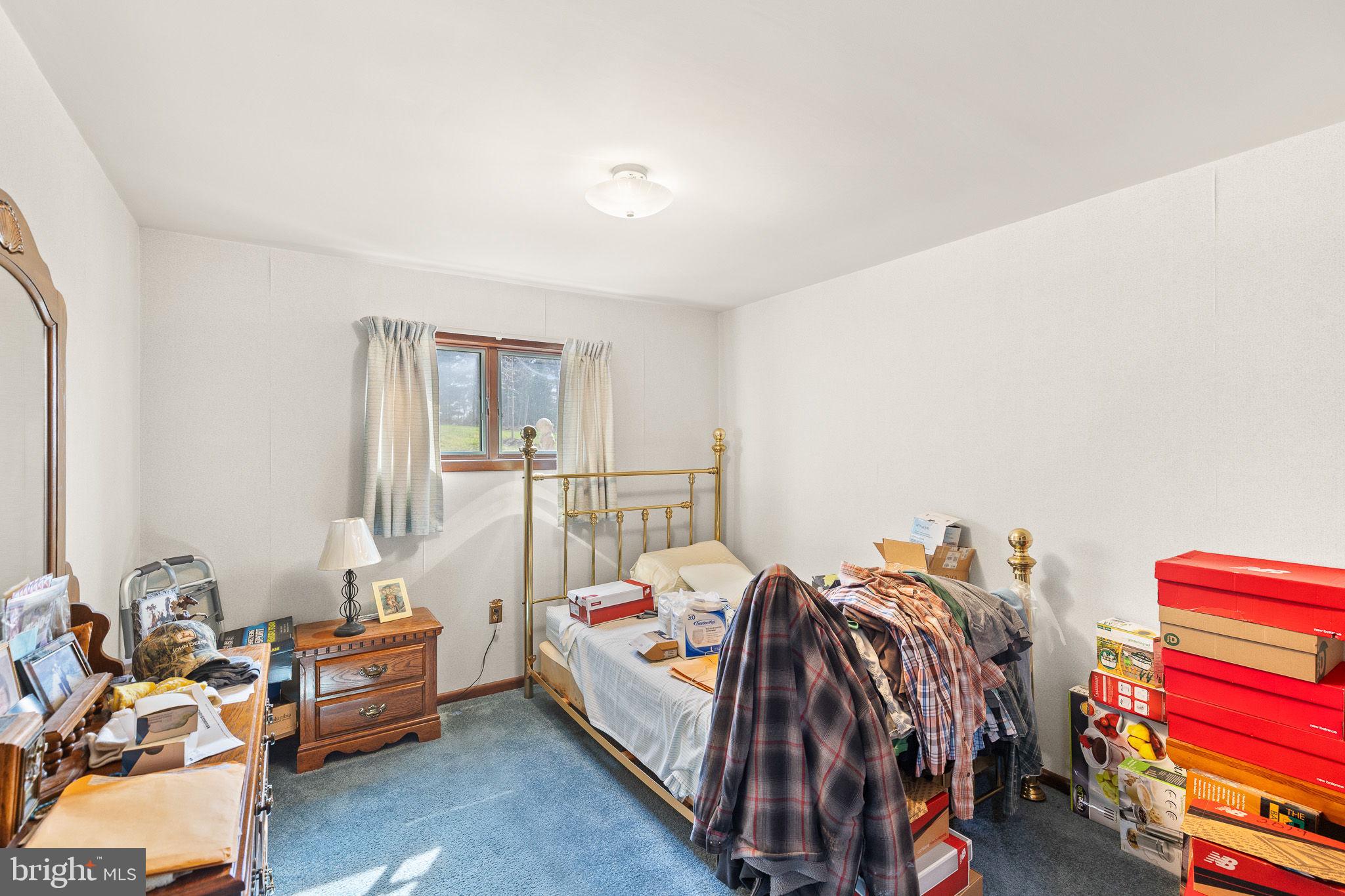 234 Hopewell Road Clear Brook, VA 22624 - Photo 21 of 35 Bedroom #3, Lower Level