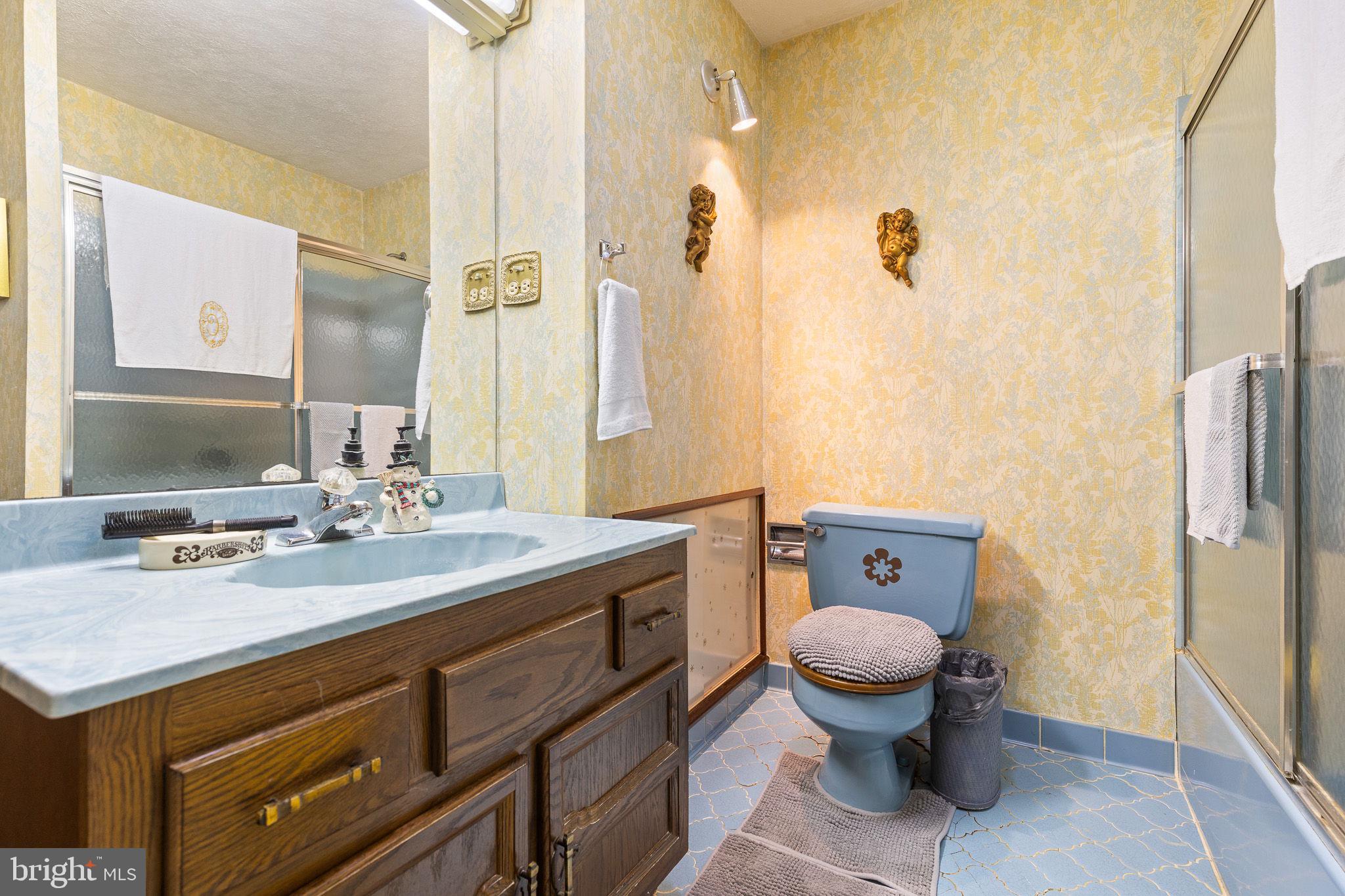 234 Hopewell Road Clear Brook, VA 22624 - Photo 21 of 69 Bathroom #1, Main Level, Tub Shower ๐