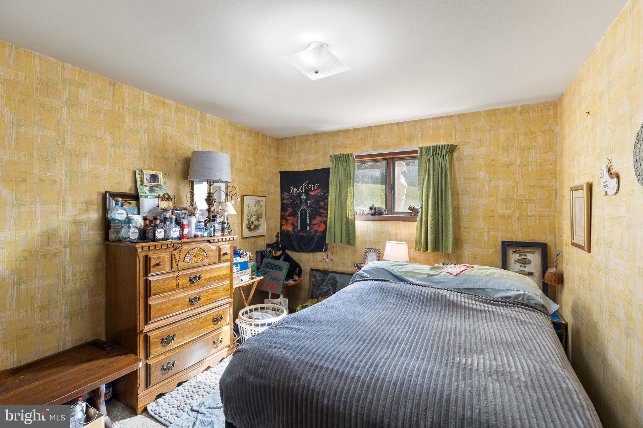 234 Hopewell Road Clear Brook, VA 22624 - Photo 23 of 35 Bedroom #4, Lower Level