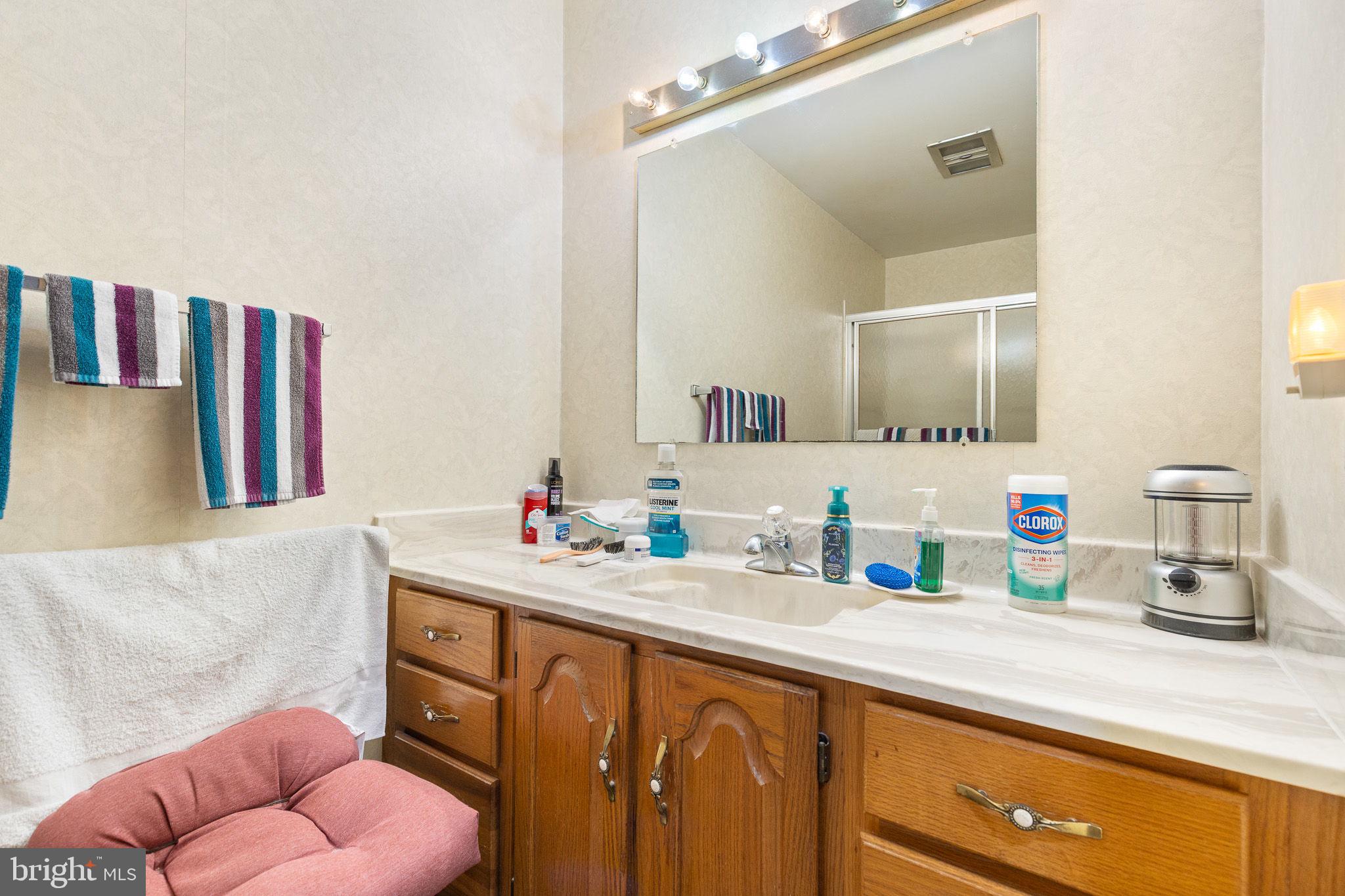 234 Hopewell Road Clear Brook, VA 22624 - Photo 24 of 35 Bathroom #2, Lower Level