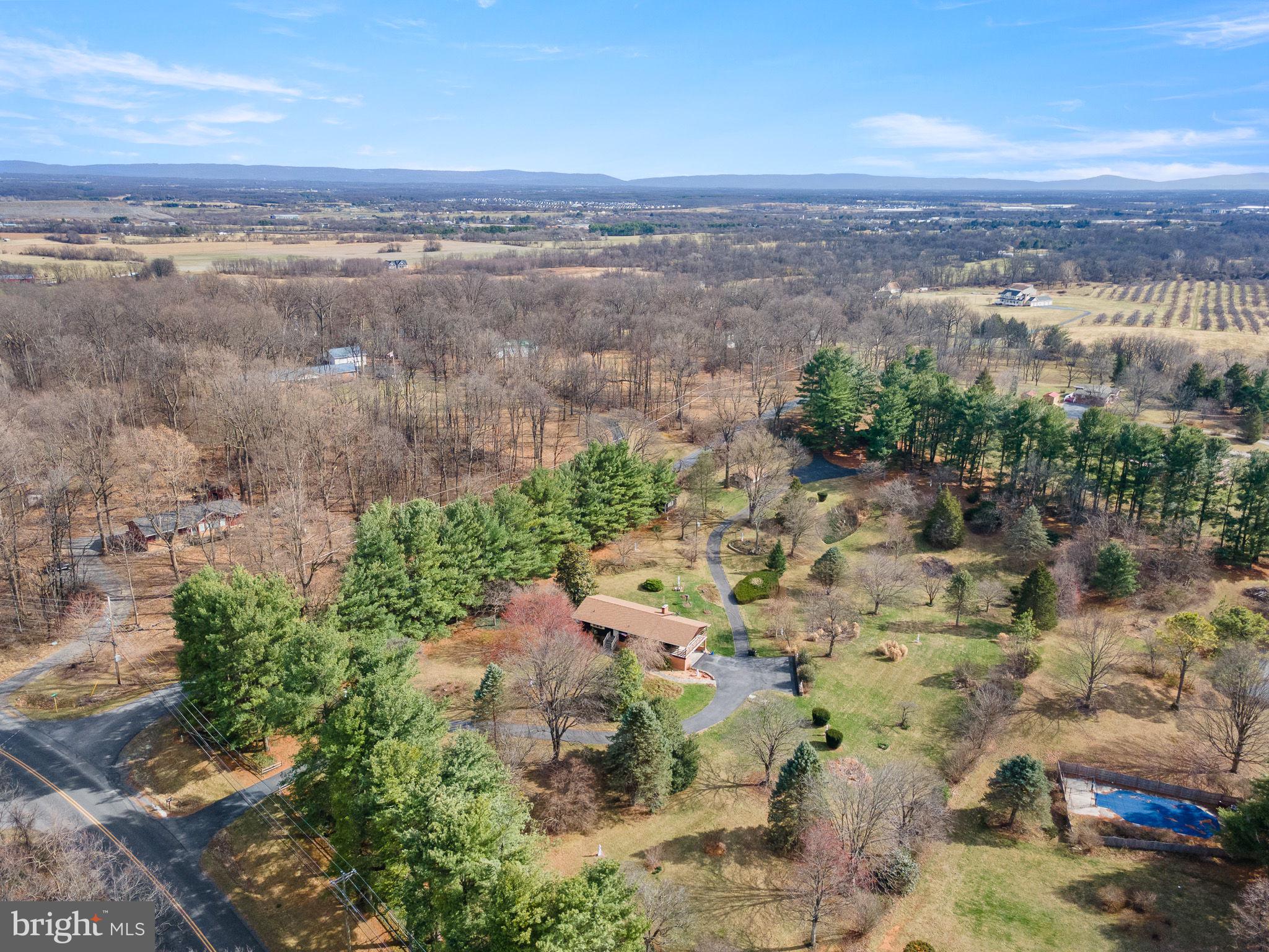 234 Hopewell Road Clear Brook, VA 22624 - Photo 33 of 35 Surrounded by Nature! 🌳