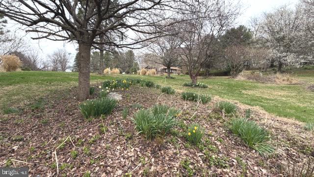 234 Hopewell Road Clear Brook, VA 22624 - Photo 5 of 69