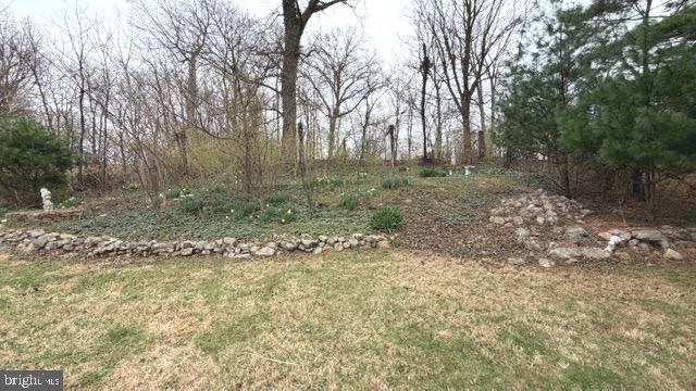 234 Hopewell Road Clear Brook, VA 22624 - Photo 58 of 69