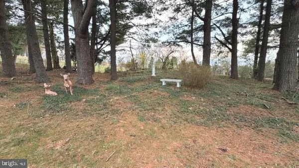$1,000,000 | 234 Hopewell Road, Clear Brook, VA 22624
