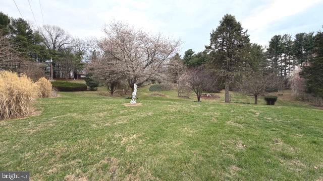 234 Hopewell Road Clear Brook, VA 22624 - Photo 68 of 69