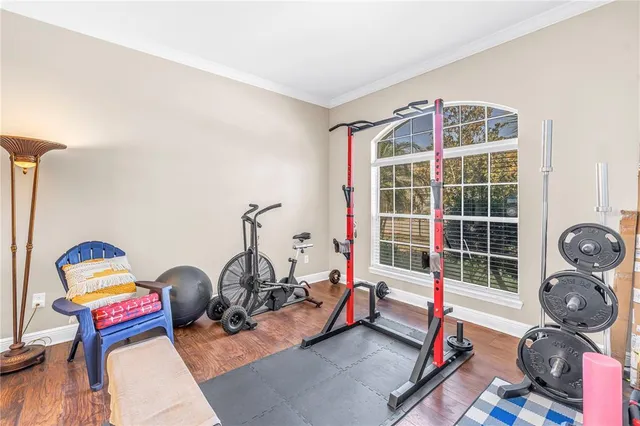a room with furniture a rug and gym equipment