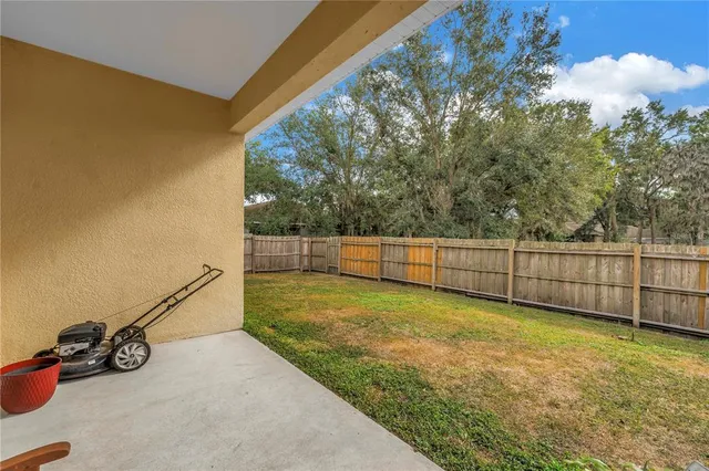 a view of a backyard with trees