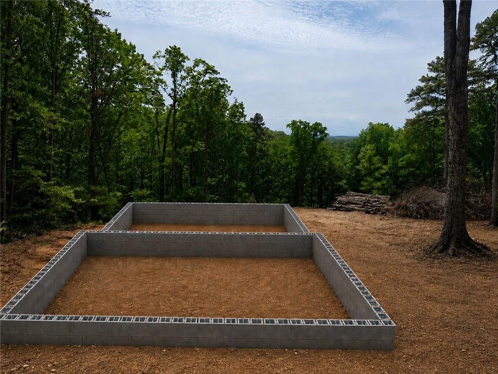 2229 Highway 411 Ranger, GA 30734 - Photo 2 of 15 a view of swimming pool with a yard