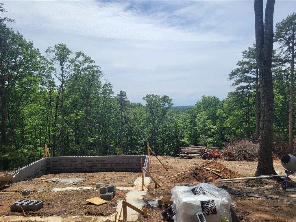 2229 Highway 411 Ranger, GA 30734 - Photo 3 of 15 a view of a backyard with swimming pool