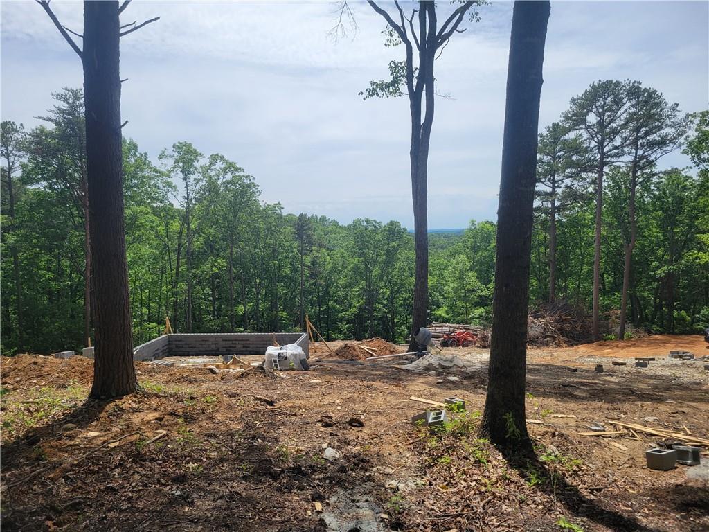 2229 Highway 411 Ranger, GA 30734 - Photo 4 of 15 a view of a tree in the middle of a yard