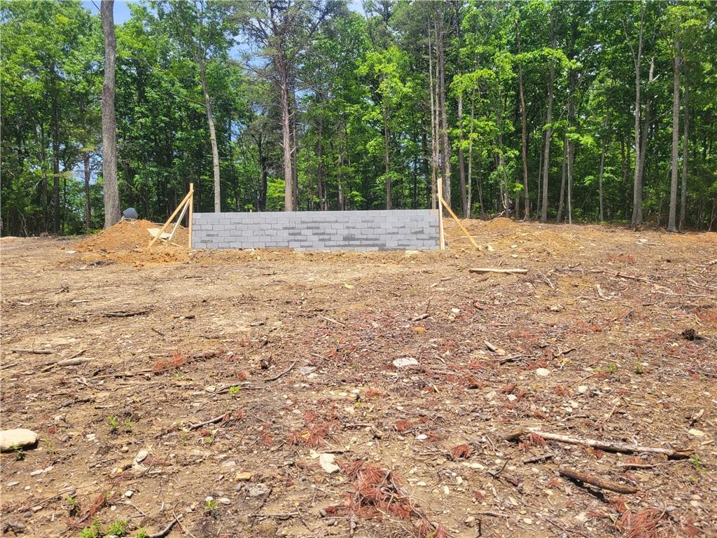 2229 Highway 411 Ranger, GA 30734 - Photo 5 of 15 a view of backyard with green space