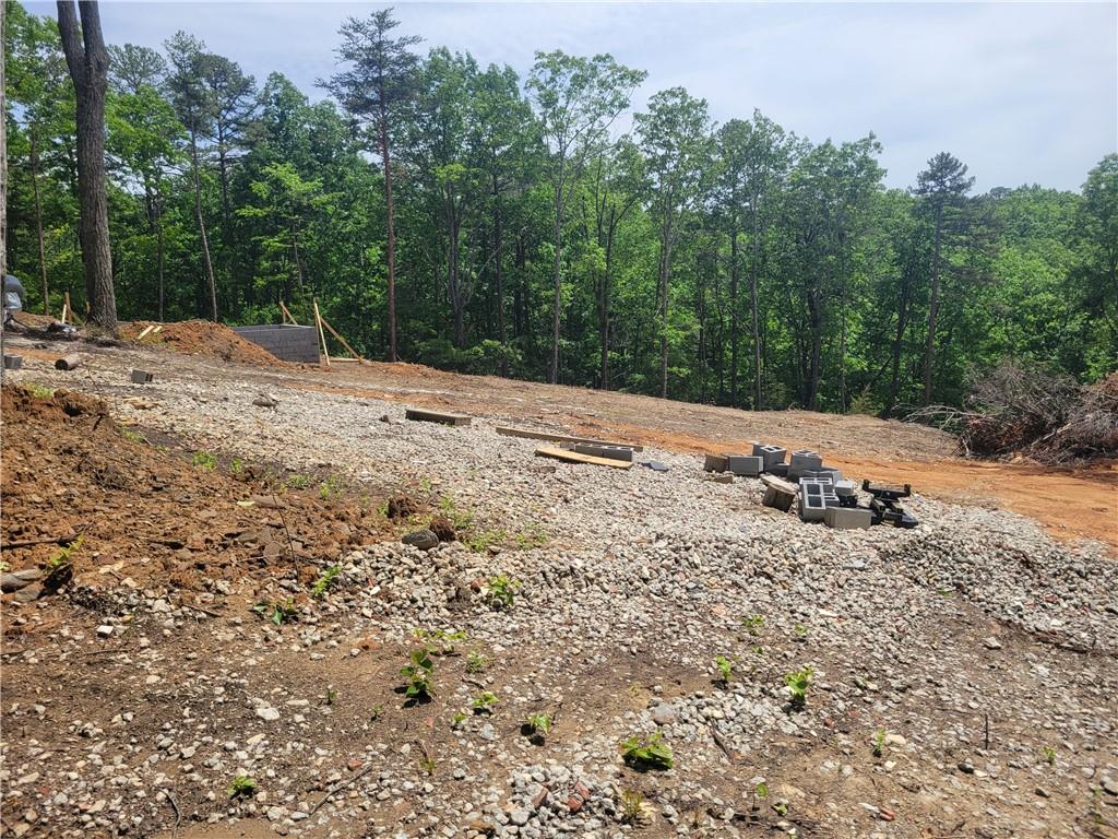 2229 Highway 411 Ranger, GA 30734 - Photo 6 of 15 a view of a yard with a tree
