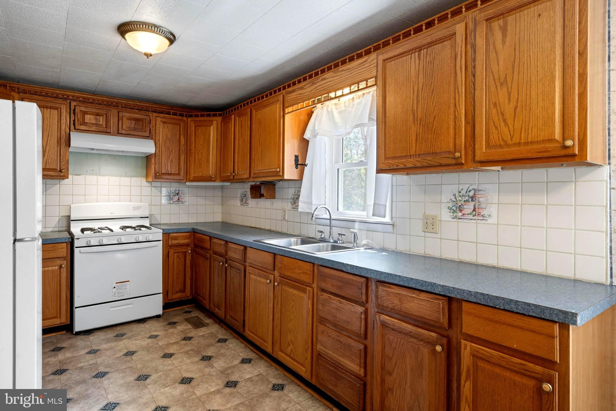 4 Kawan Drive Georgetown, DE 19947 - Photo 11 of 45 Kitchen with New Appliances