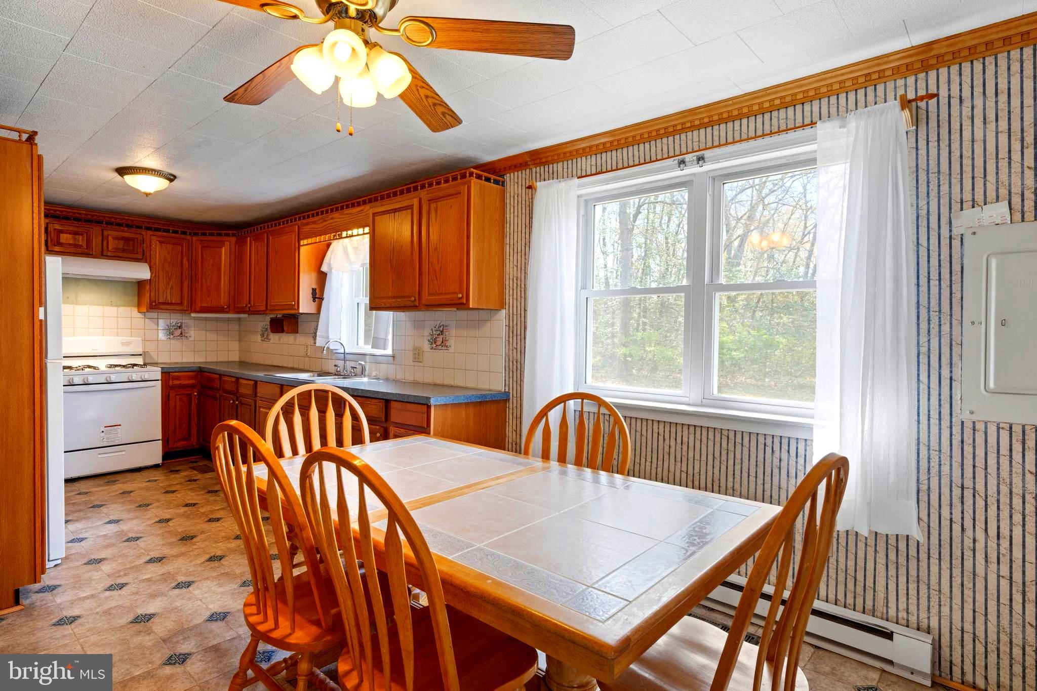 4 Kawan Drive Georgetown, DE 19947 - Photo 9 of 45