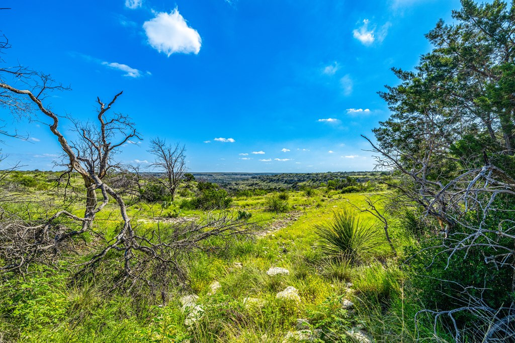 935 Ranch House Road Ozona, TX 76943 - Photo 20 of 53 Photo 21