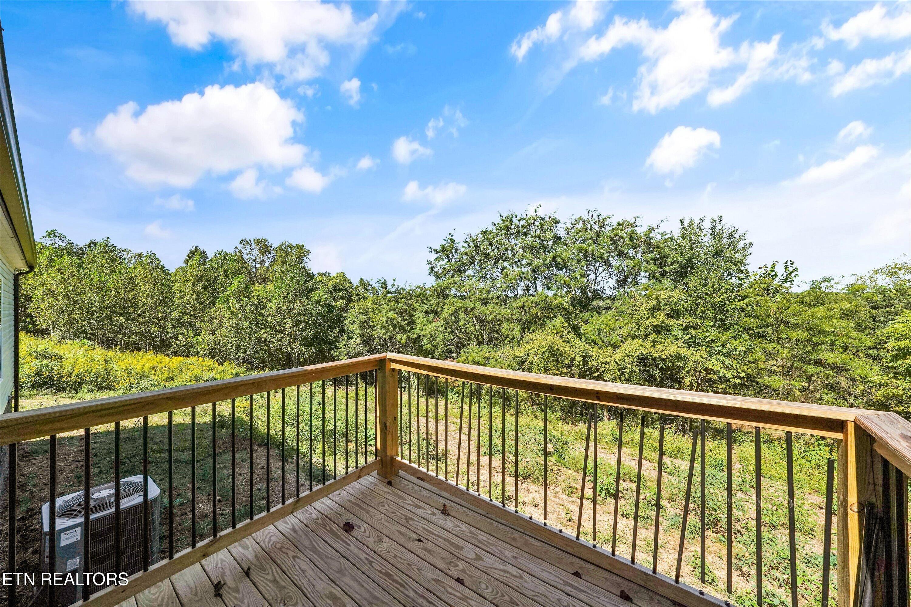 3827 Demory Road La Follette, TN 37766 - Photo 3 of 28 Back Deck