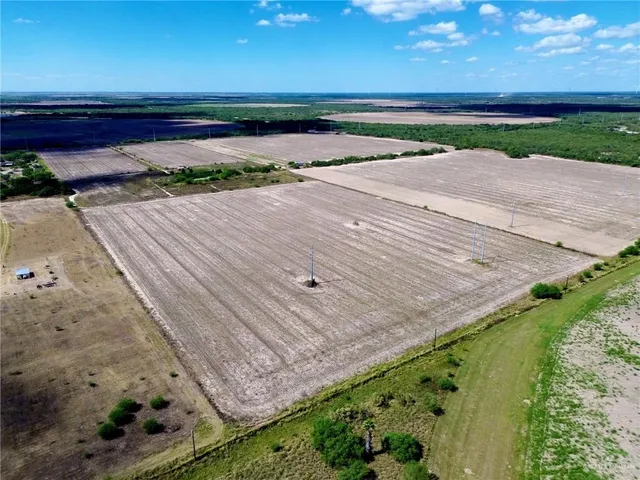a view of backyard with wooden floor