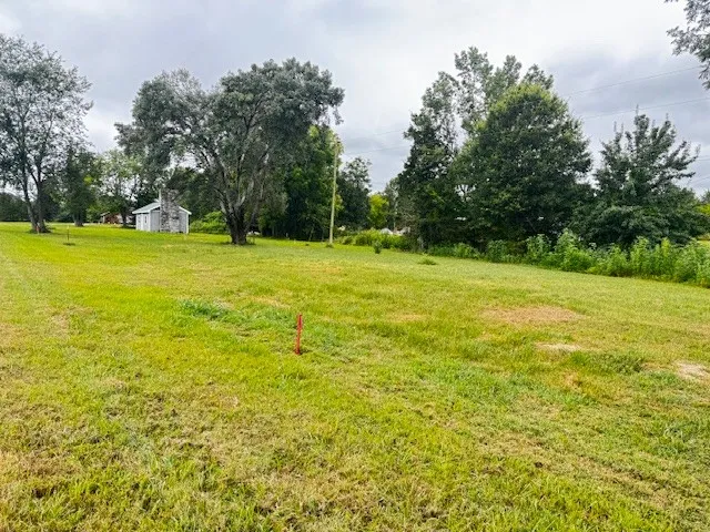 a view of a yard with a trees