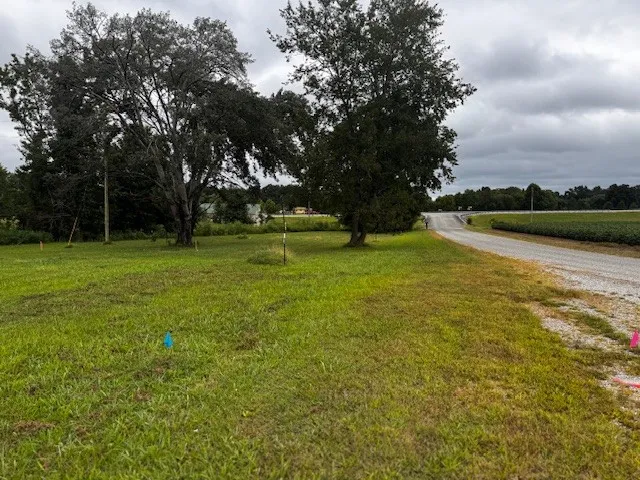 a view of outdoor space with deck and green space