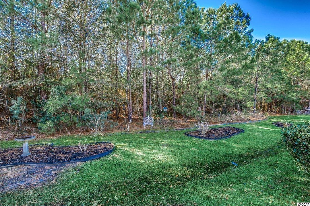 209 Black Bear Road Myrtle Beach, SC 29588 - Photo 29 of 32 Gallery Image 29