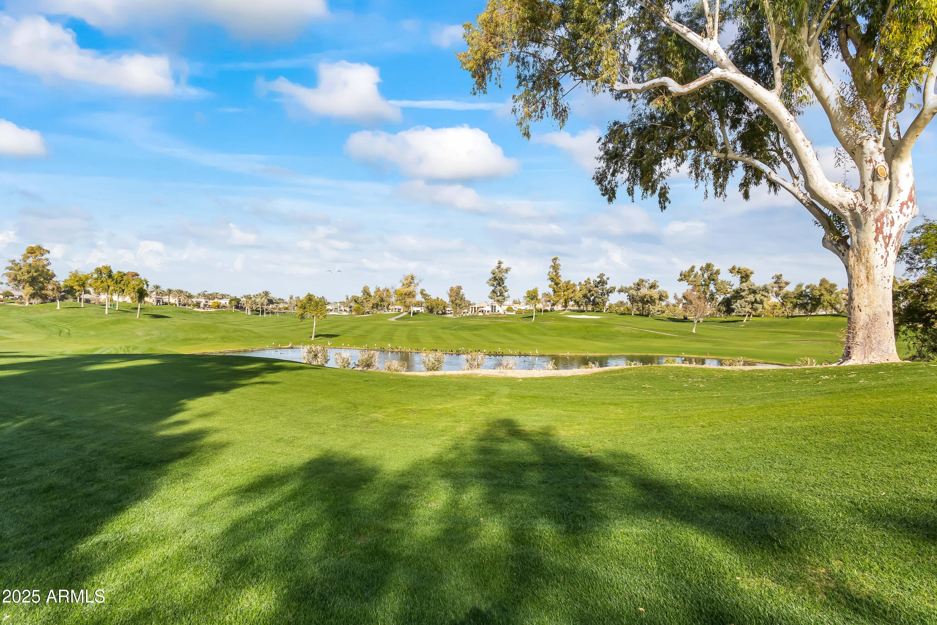 7740 East Gainey Ranch Road, Unit 23 Scottsdale, AZ 85258 - Photo 44 of 45 GOLF COURSE VIEWS (PRIVATE)
