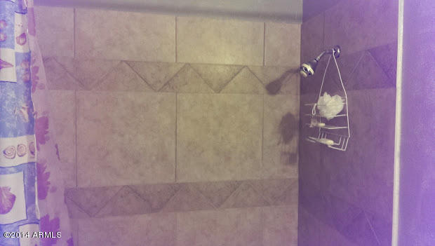 2148 West Pecan Road Phoenix, AZ 85041 - Photo 11 of 13 Hall Bathroom