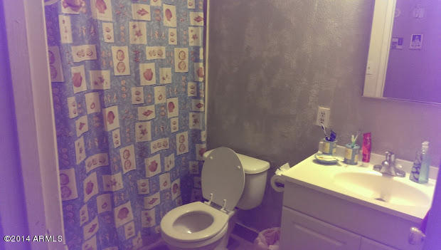 2148 West Pecan Road Phoenix, AZ 85041 - Photo 10 of 13 Hall Bathroom
