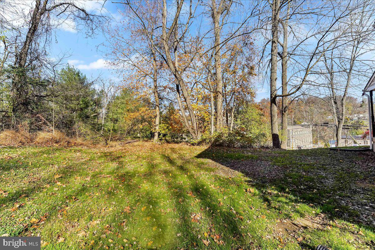 75 New Road Aston, PA 19014 - Photo 50 of 59 Yard