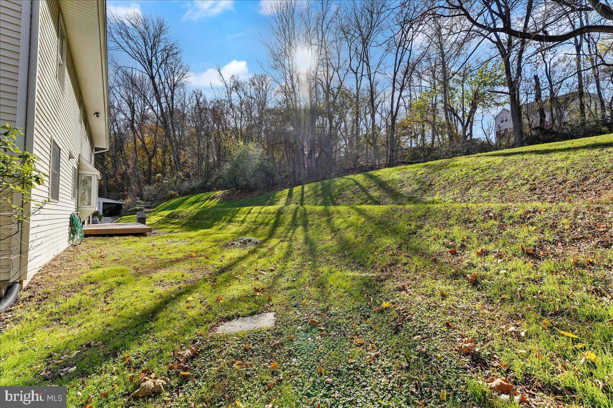 75 New Road Aston, PA 19014 - Photo 51 of 59 Yard