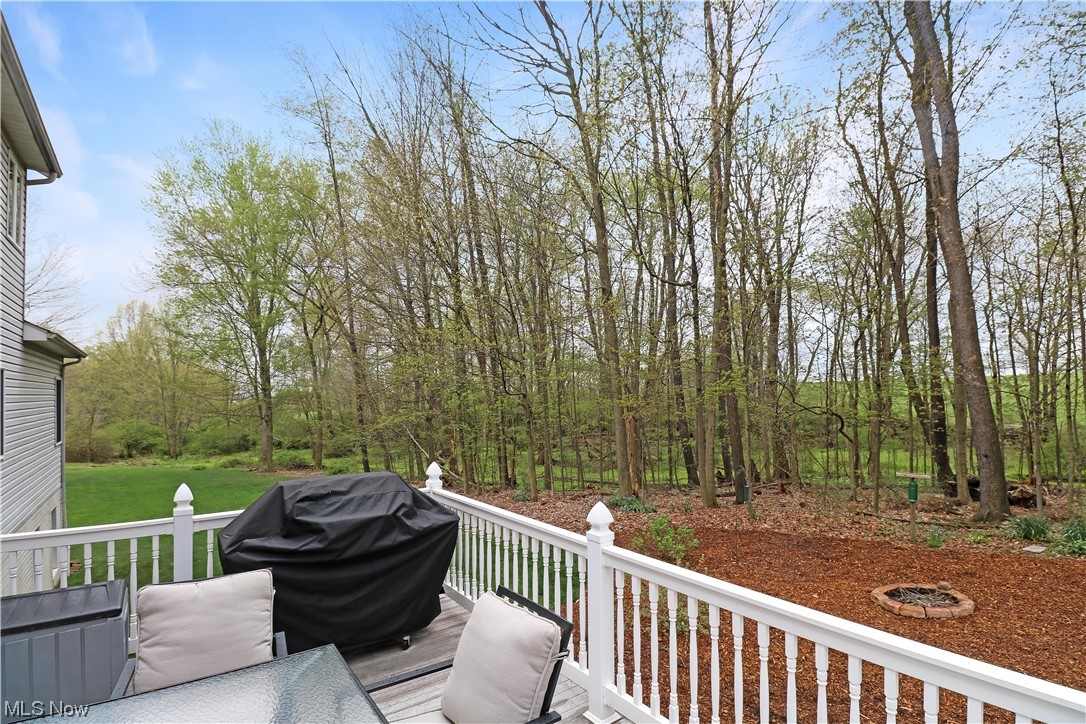 14280 Shorle Road Sterling, OH 44276 - Photo 27 of 35 Gallery Image 27
