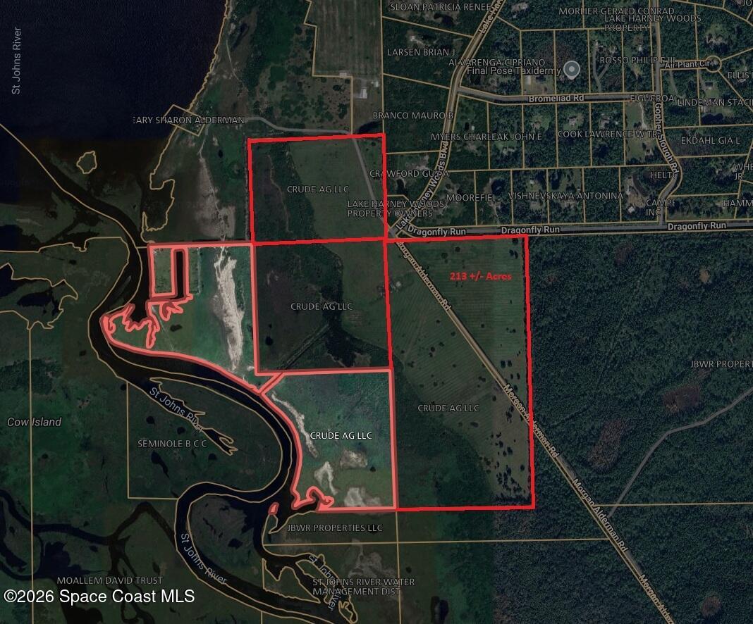 0 Morgan Alderman Road Mims, FL 32754 - Photo 3 of 3