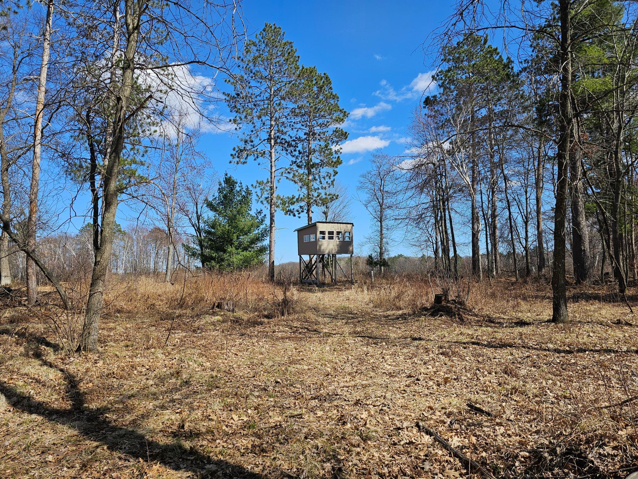 Xxx Zarr Road Ironton, MN 56455 - Photo 1 of 1 Gallery Image 1