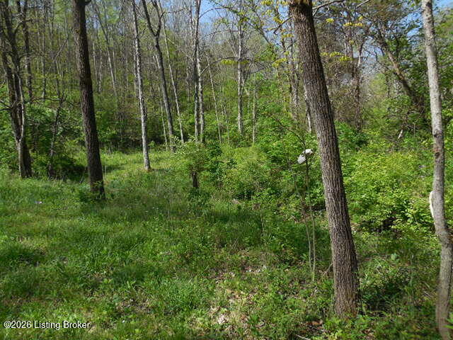 1655 Stewart Ridge Road Sparta, KY 41086 - Photo 21 of 31 DSCN3099