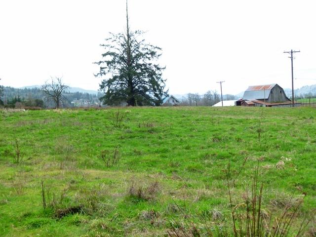 101 Highway 101 South Garibaldi, OR 97118 - Photo 4 of 8 P1080415