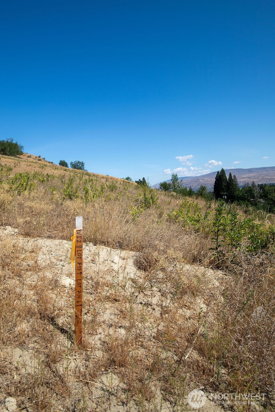 0 Ridgefield Way Wenatchee, WA 98801 - Photo 33 of 37 a view of a yard with a mountain