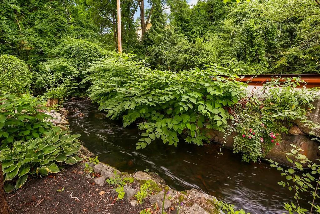 7 Cedar Brook Road Wellesley, MA 02482 - Photo 35 of 36 a plant view
