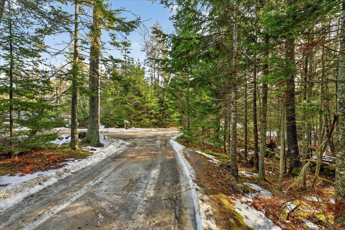 284 Dow Road Deer Isle, ME 04627 - Photo 77 of 102 084-284 Dow Rd. (84 of 84)