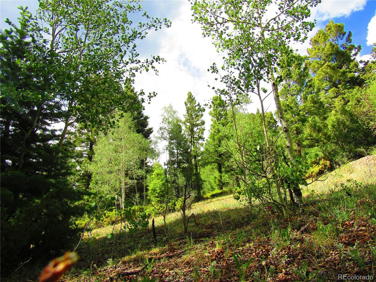 6093 Forbes Road San Luis, CO 81152 - Photo 8 of 14