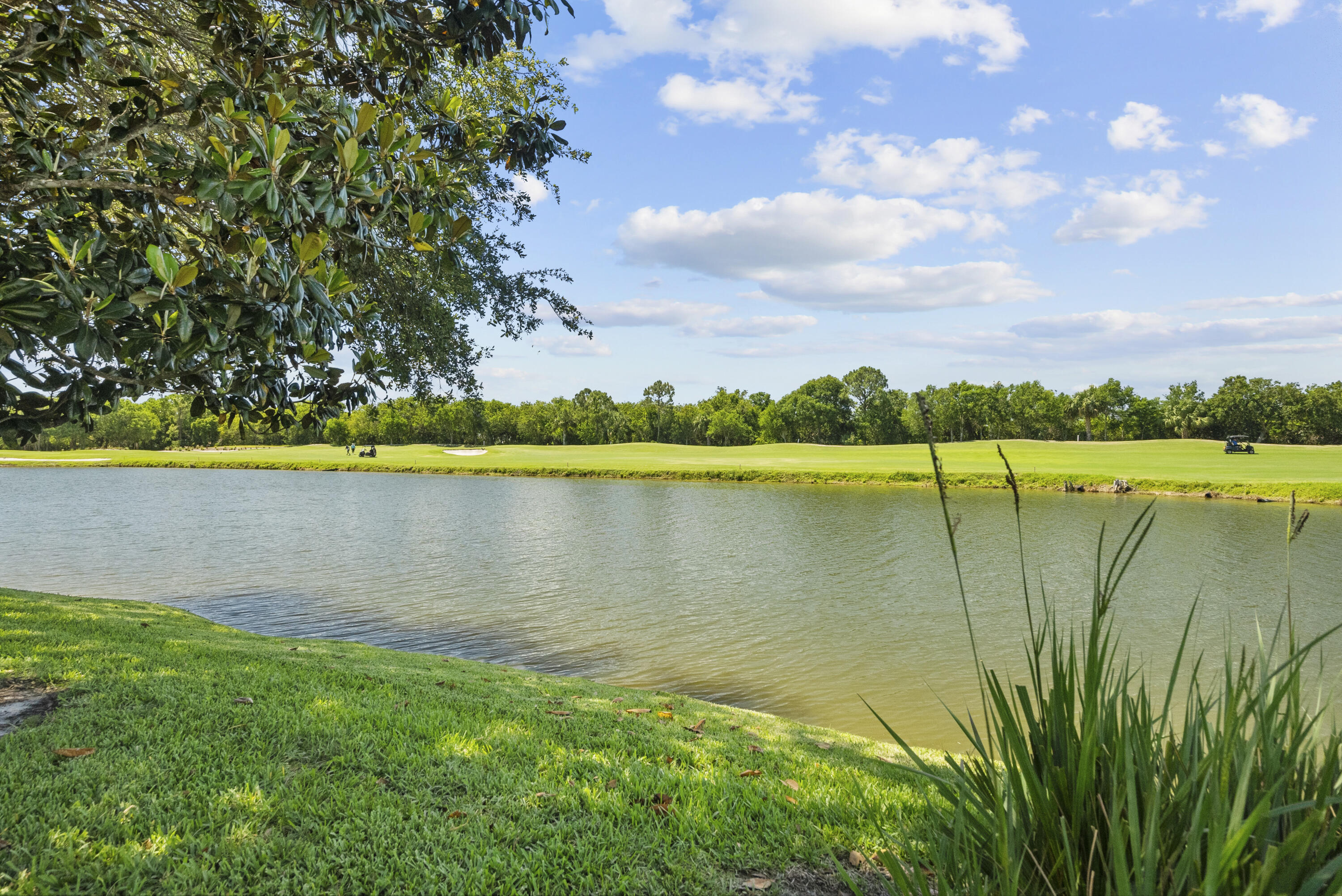 996 Southwest Balmoral Trace Stuart, FL 34997 - Photo 7 of 34 dsc06841