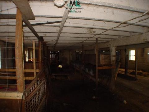 3450 Marlette Road Croswell, MI 48422 - Photo 9 of 9 159396-8.JPG