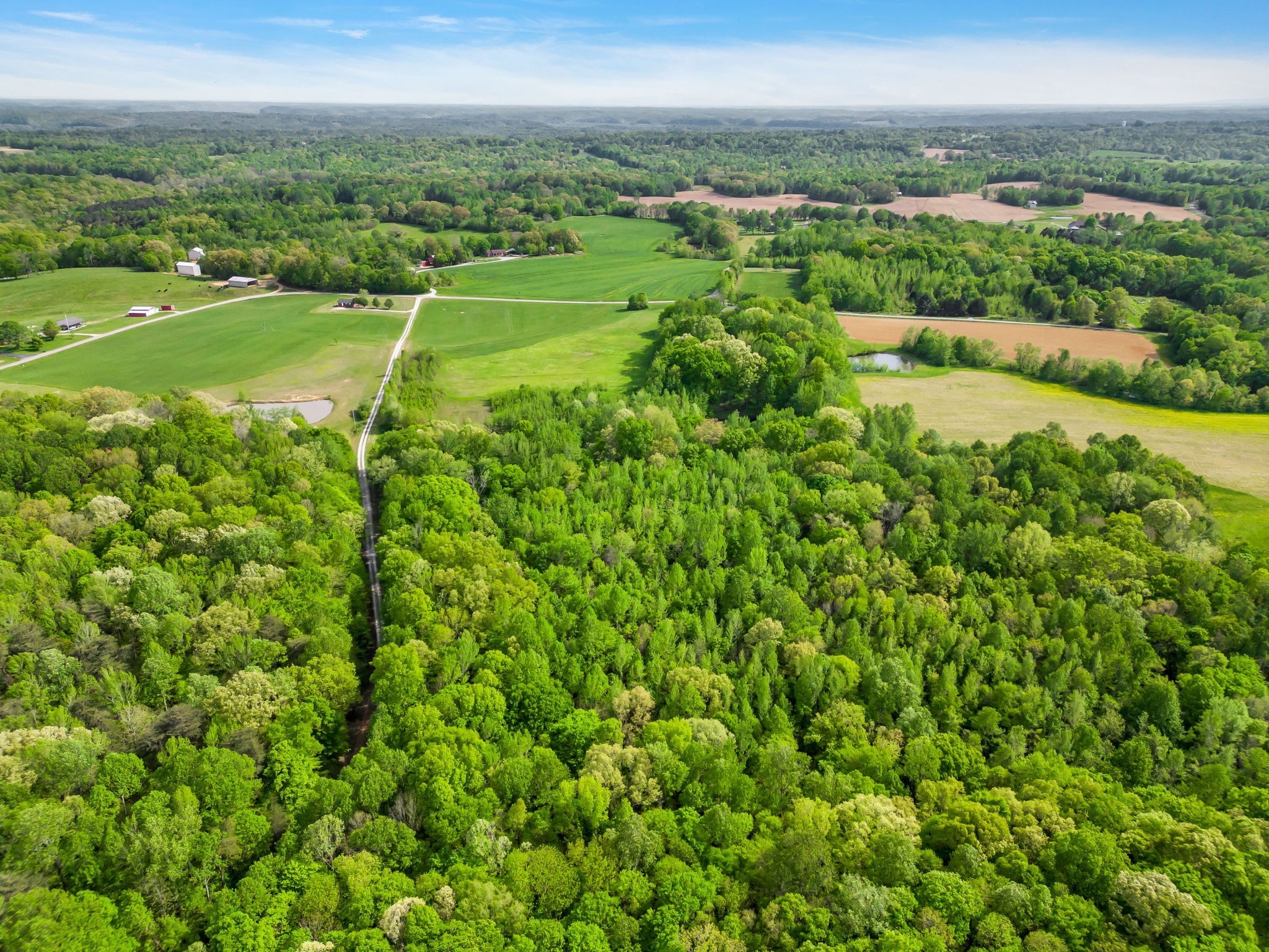 2 Poplar Ridge Road Chapmansboro, TN 37035 - Photo 2 of 11