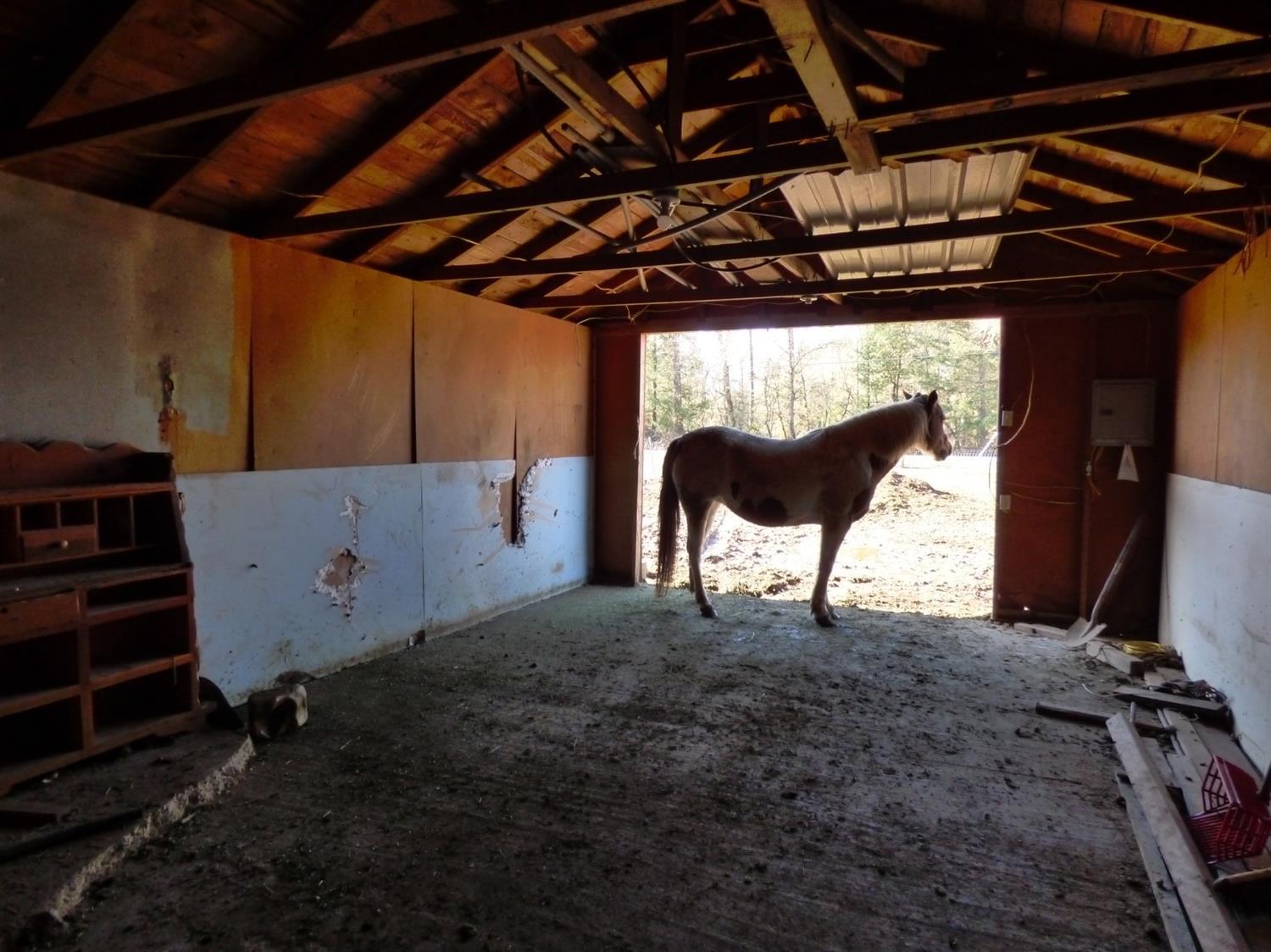 111 Dick George Road Cave Junction, OR 97523 - Photo 25 of 30 Main room of barn has cement floor, elec