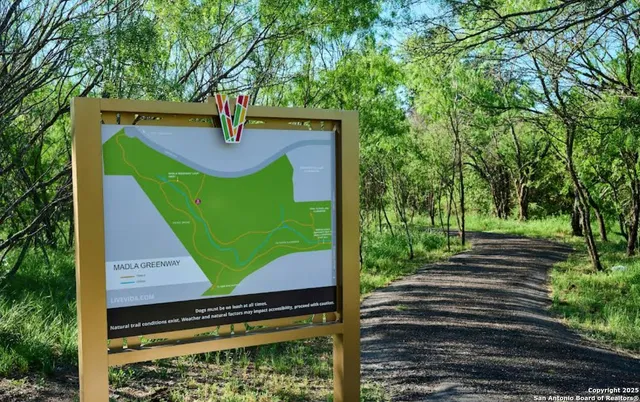 a view of a yard with plants