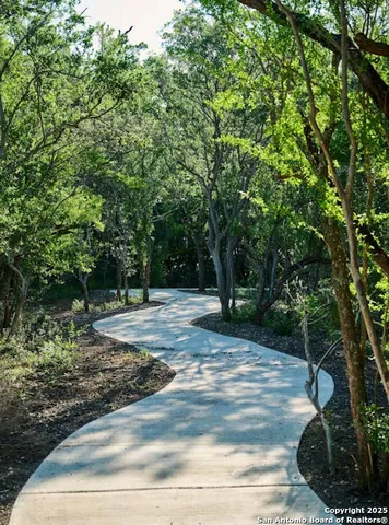 a view of a tree in the middle of a yard