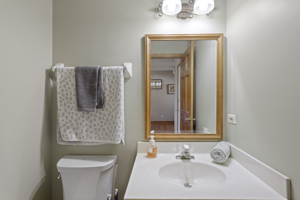 4932 Riedy Place Lisle, IL 60532 - Photo 29 of 36 Gallery Image 29