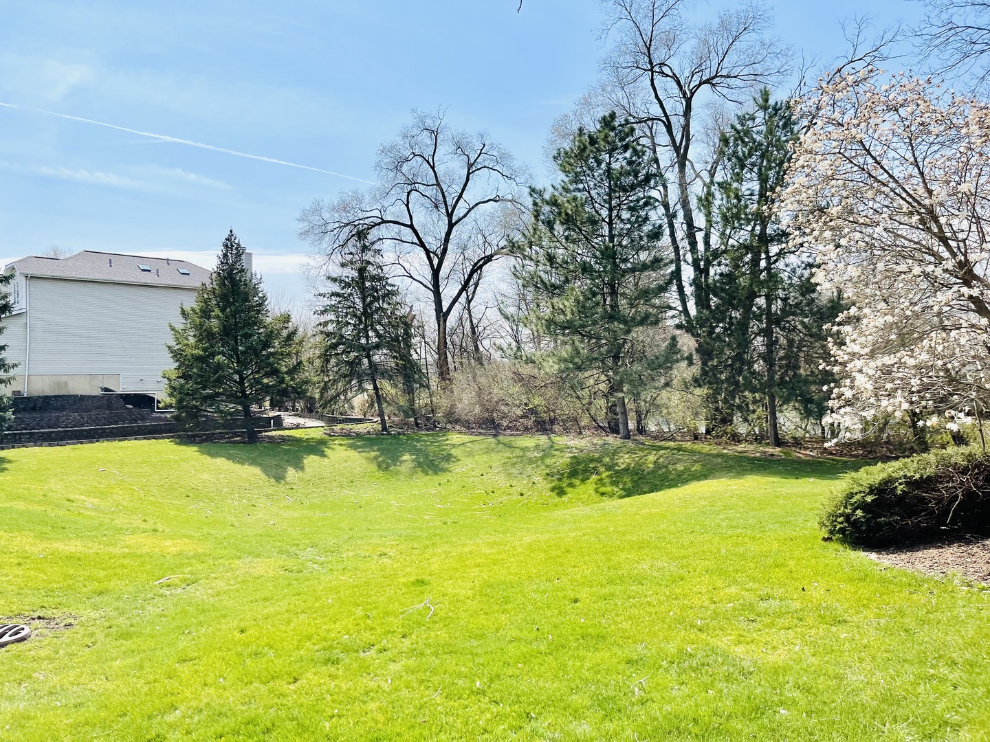 4932 Riedy Place Lisle, IL 60532 - Photo 4 of 36 Gallery Image 4