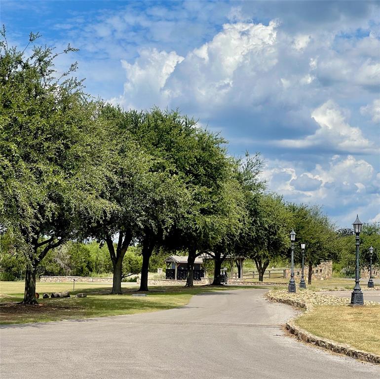2334 San Bar Road, Unit 54 Graford, TX 76449 - Photo 27 of 28 a view of a yard with palm trees